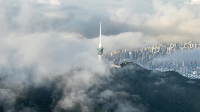 深圳梧桐山云海流动