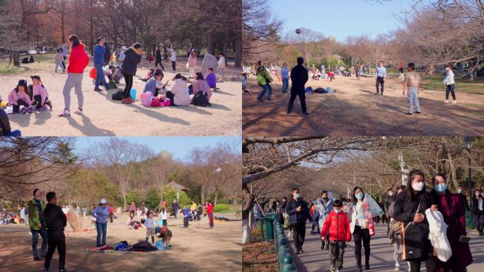 4K春天戴口罩人群在公园踏青