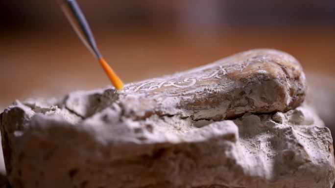 考古人员用刷子轻轻升格扫除文物上的灰土