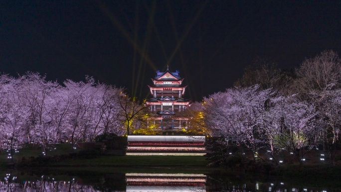 鼋头渚樱花日转夜灯光秀