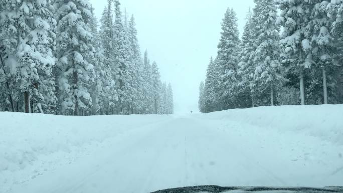 下雪时，沿着雪路行驶