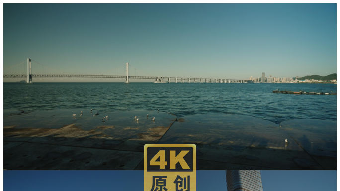 实拍4K海边跨海大桥