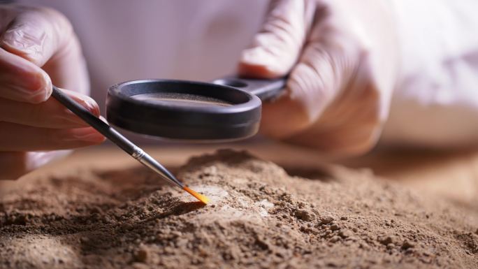 考古发掘人员用刷子和放大镜轻轻扫去沙泥