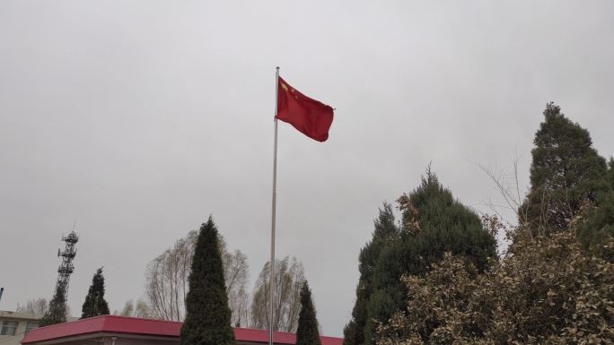 农村学校 红旗 飘扬 松树 校园