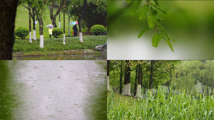 春雨、淅淅沥沥的小雨