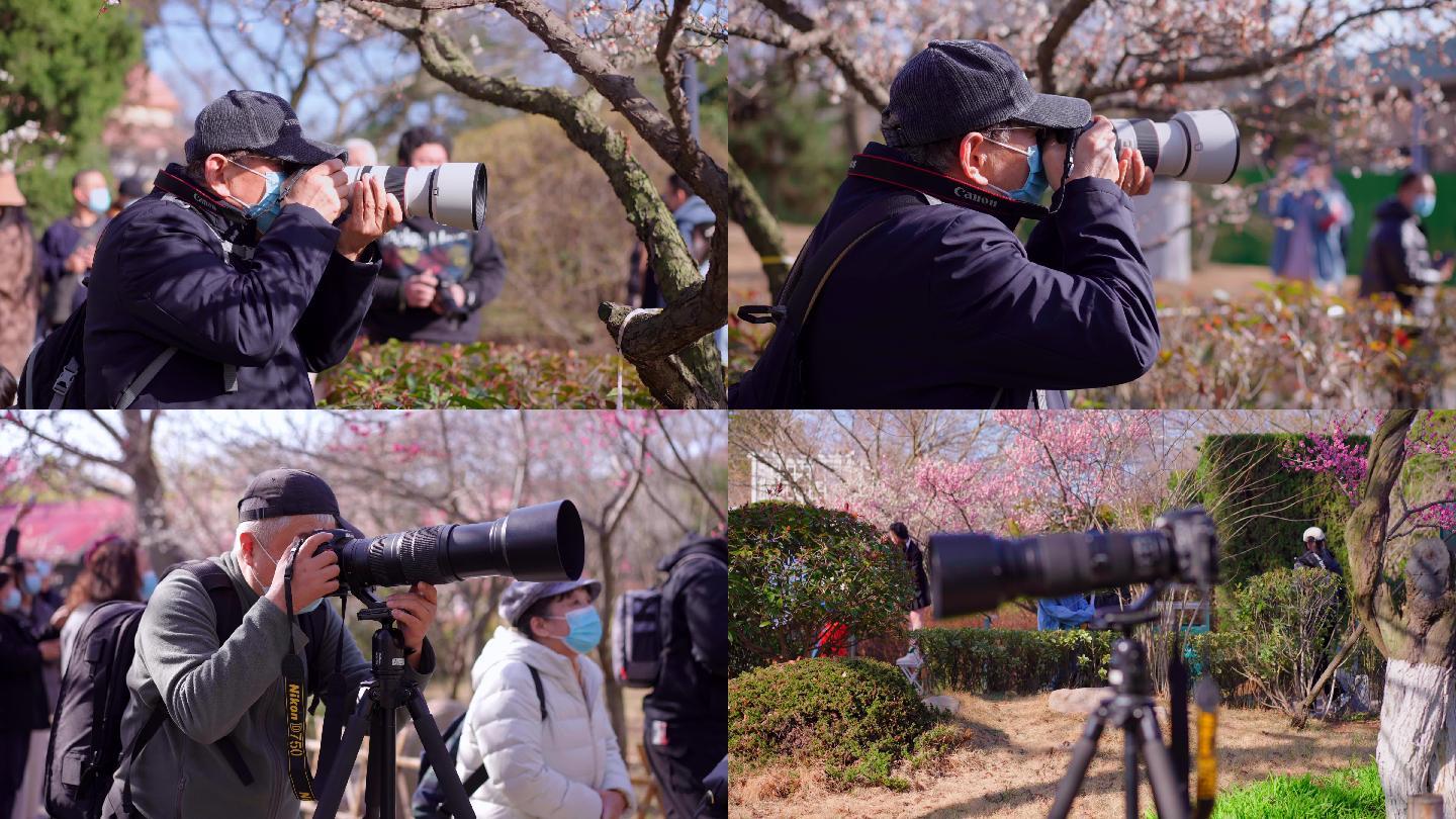 4K摄影师拍照 春天公园摄影师拍照