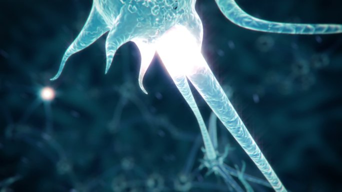 神经元网络人体神经网络脉络神经元