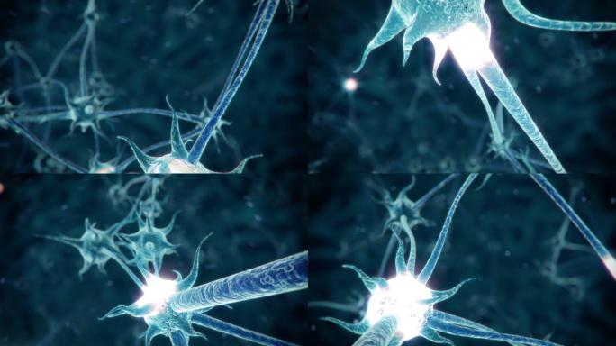 神经元网络人体神经网络脉络神经元
