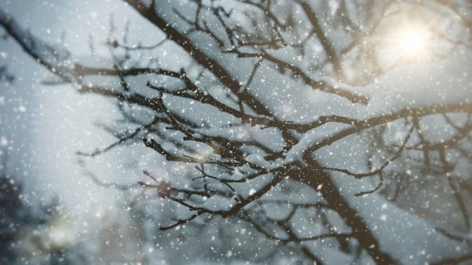 冬季景观落雪飘落特效