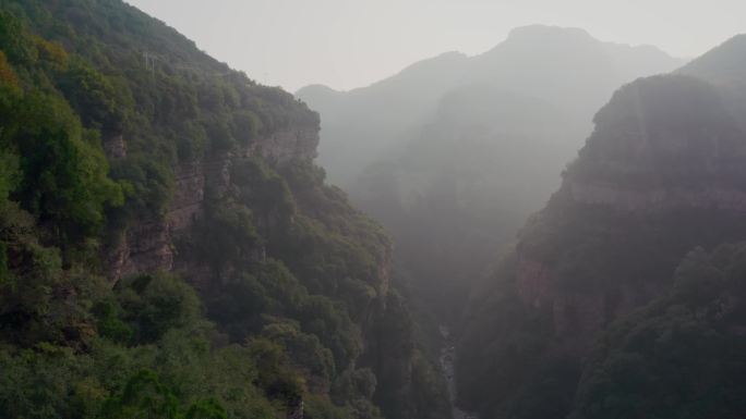 户外生活 浪漫旅游 森林生活