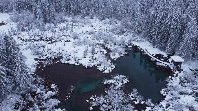 冬季高山雪林白茫茫雾凇寒冷