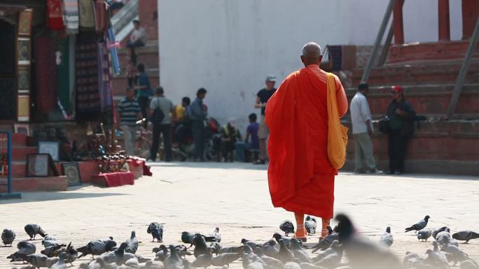 尼泊尔加都 寺庙 广场古迹 街道 僧鸽子