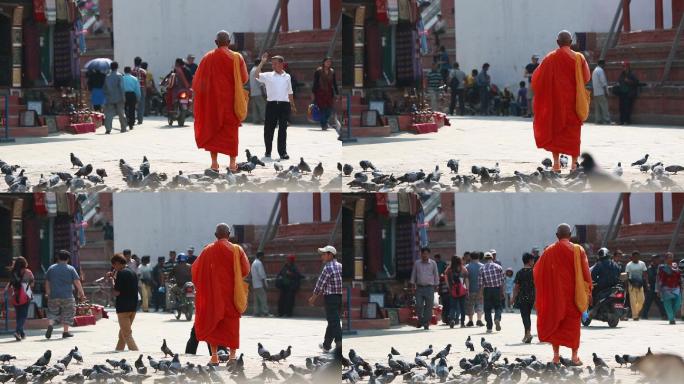 尼泊尔加都 寺庙 广场古迹 街道 僧鸽子