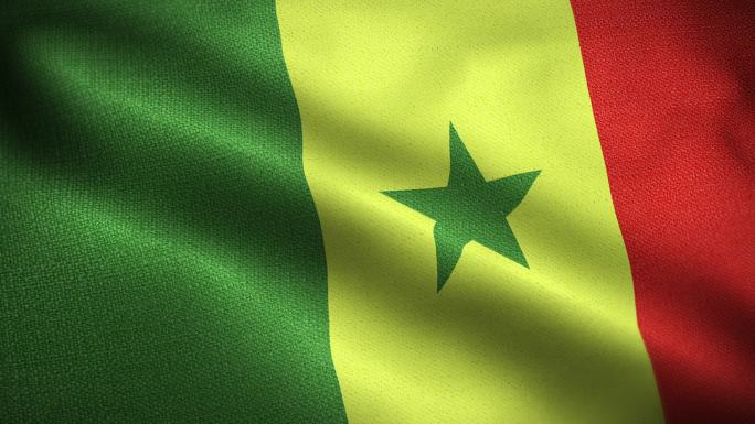 塞内加尔国旗旗帜布料条纹五角星