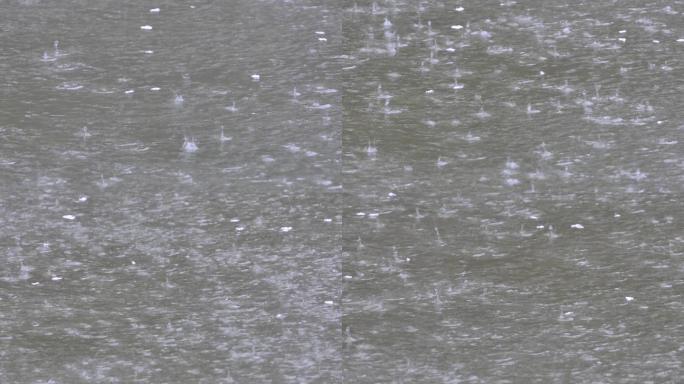 鄂州西山风景区秀园雨景池塘雨水滴落