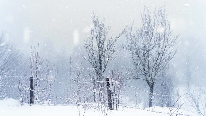 雪景雪后寒冬公园围栏栅栏旅行风光