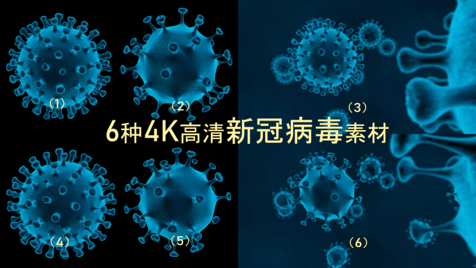 6款4k高清新冠病毒动画含通道抗击疫情