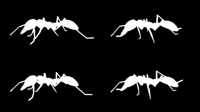 黑色背景上行走的蚂蚁剪影
