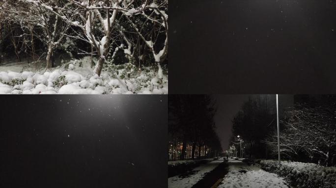 城市冬天深夜路灯下下雪雪景