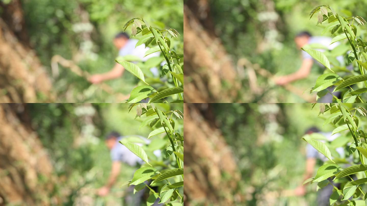 奉节关门山 奉节农村 奉节