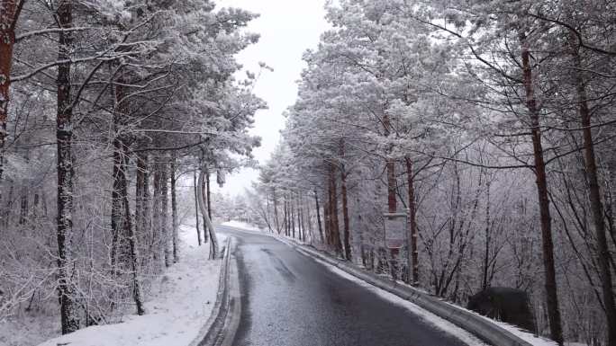 春雪潇潇唯美山路雪淞