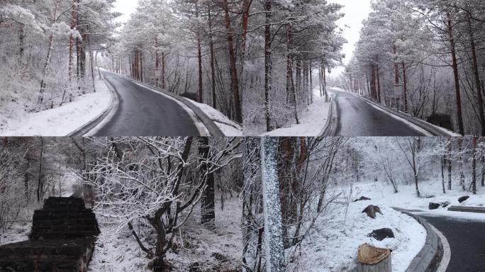 春雪潇潇唯美山路雪淞