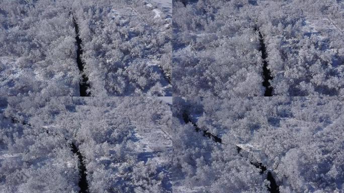 高山雪谷森林冬季雪花下雪雾凇风景