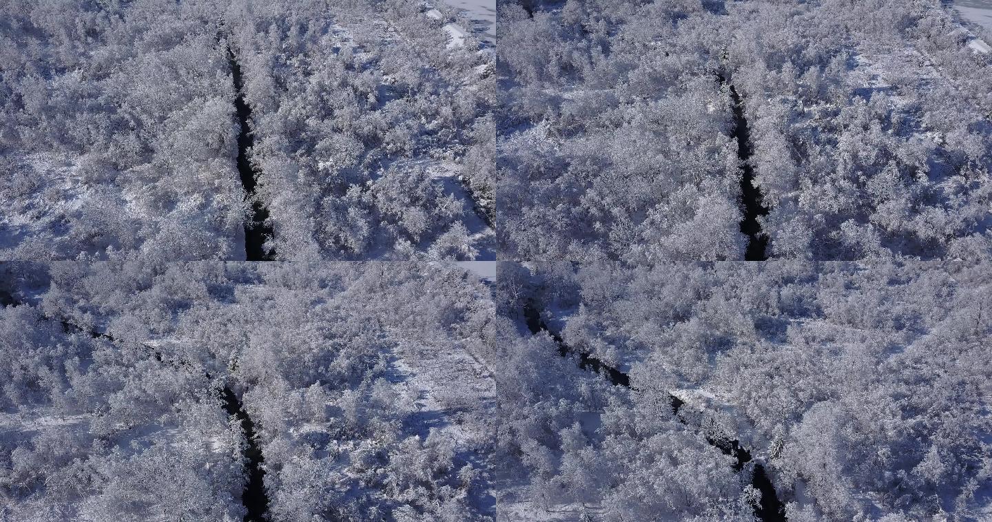 高山雪谷森林冬季雪花下雪雾凇风景