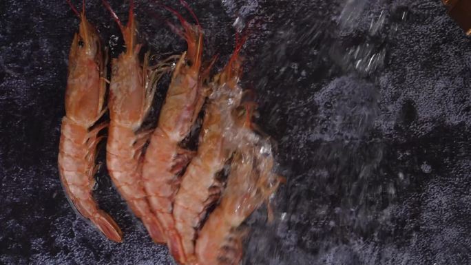 阿根廷红虾泼水