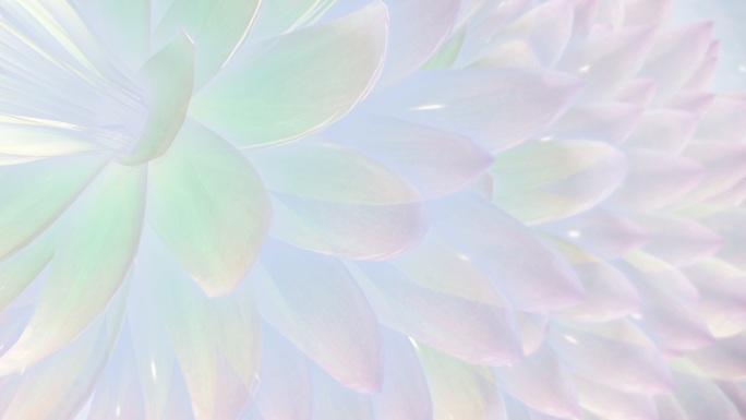 抽象的莲花背景抽象意境概念唯美光影光线逆