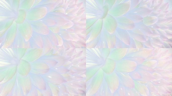 抽象的莲花背景抽象意境概念唯美光影光线逆