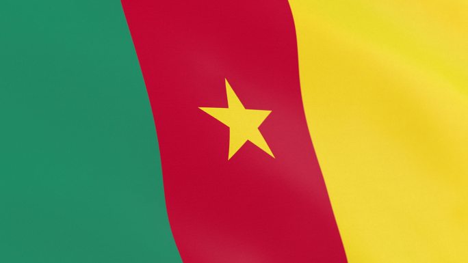 喀麦隆国旗特效视频
