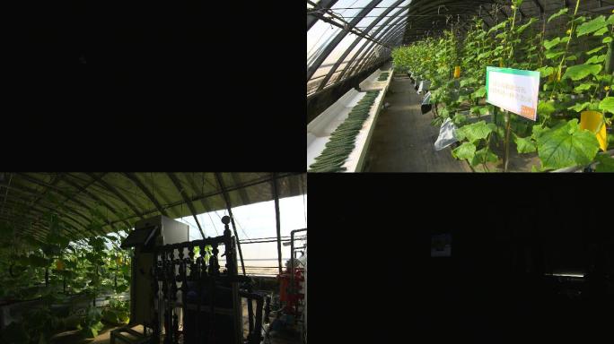 水肥一体化 农业温室 温室卷帘