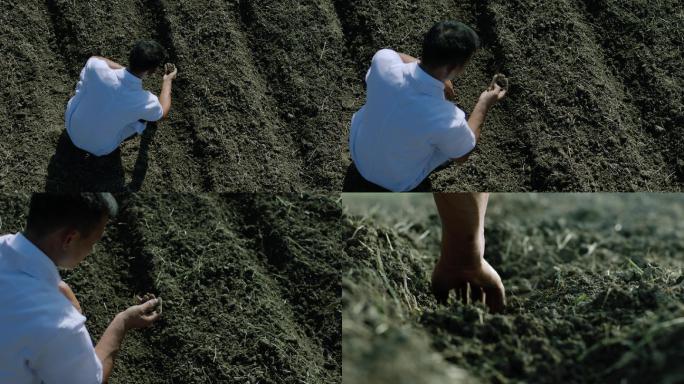 农业专家田间查看土壤
