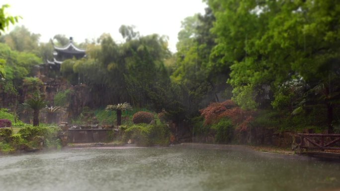 雨天小雨里的园林庭院建筑水池雨景