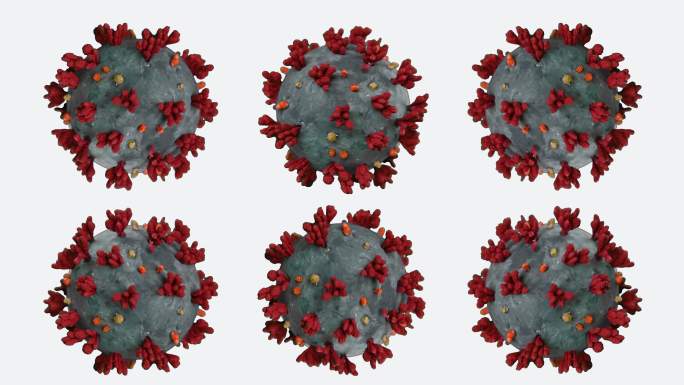 冠状病毒动画病原体杆菌模拟球菌