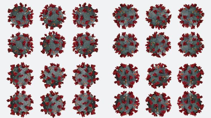 冠状病毒动画病原体杆菌模拟球菌