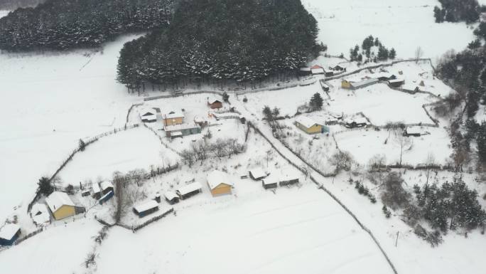 风雪中的农家院
