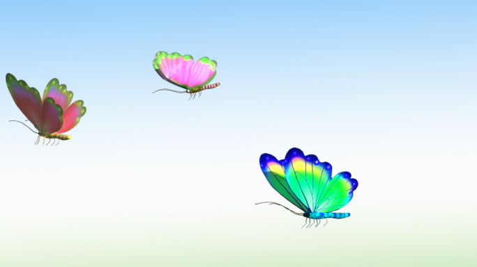 8款来回飞舞的蝴蝶视频素材下载