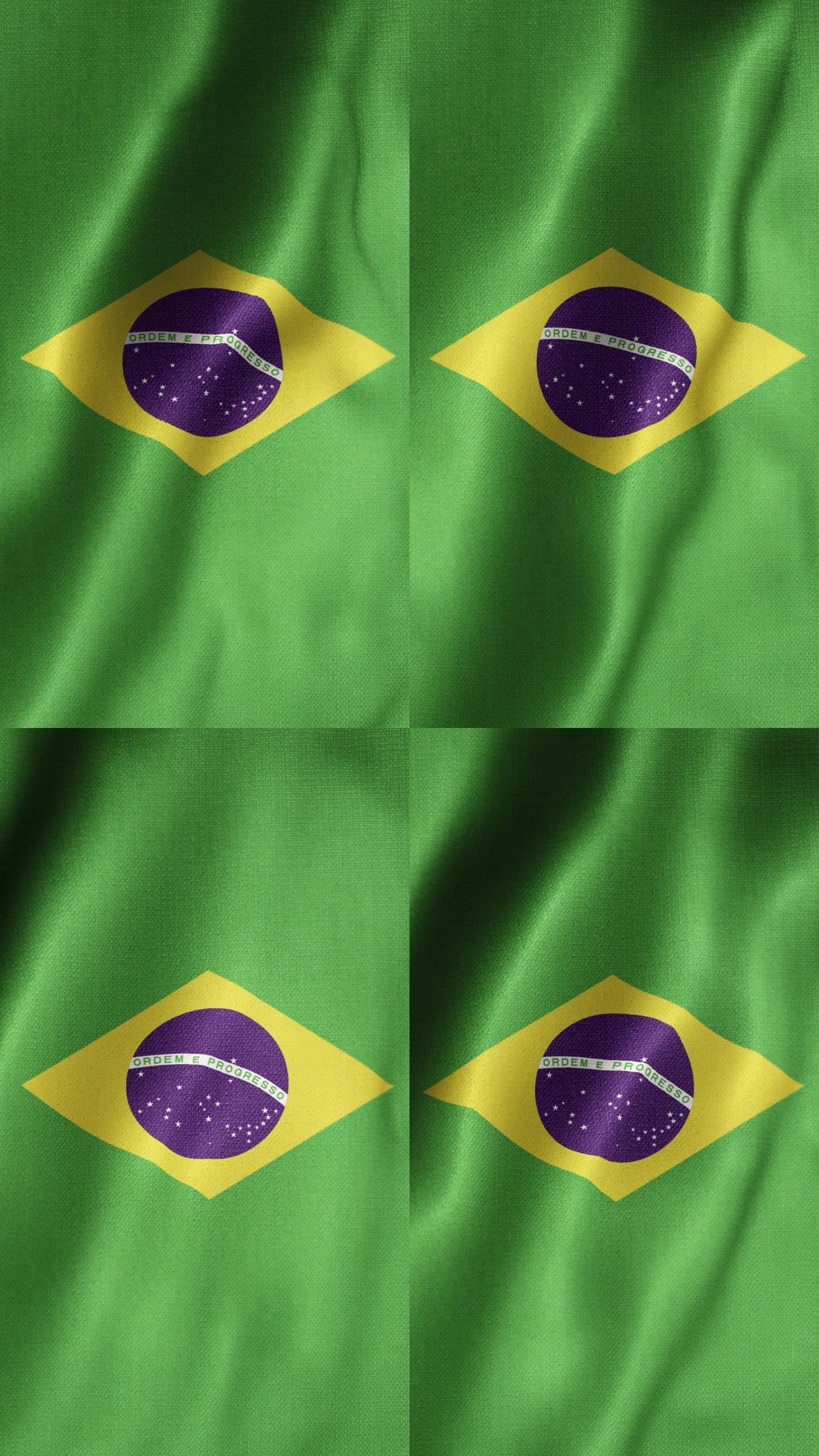 巴西国旗竖屏视频
