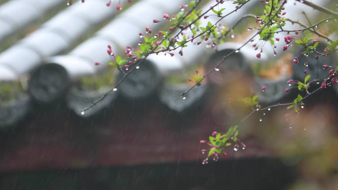 雨中古建筑