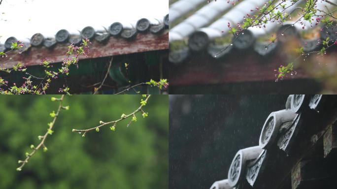 雨中古建筑