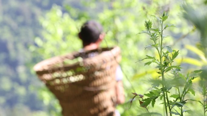 奉节关门山 奉节农村 奉节