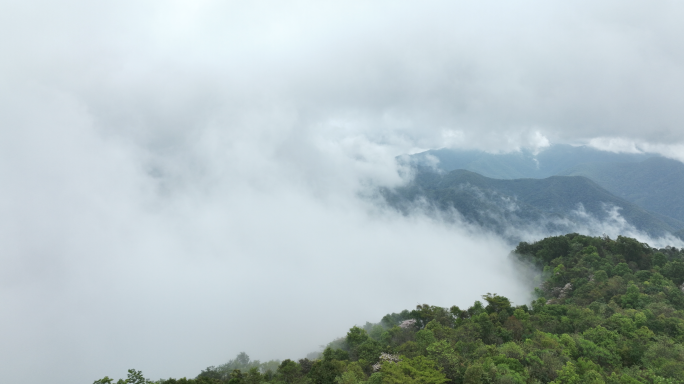 【5K】版纳热带雨林，雨林云海，雨林航拍