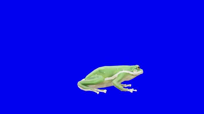 垂死的绿青蛙