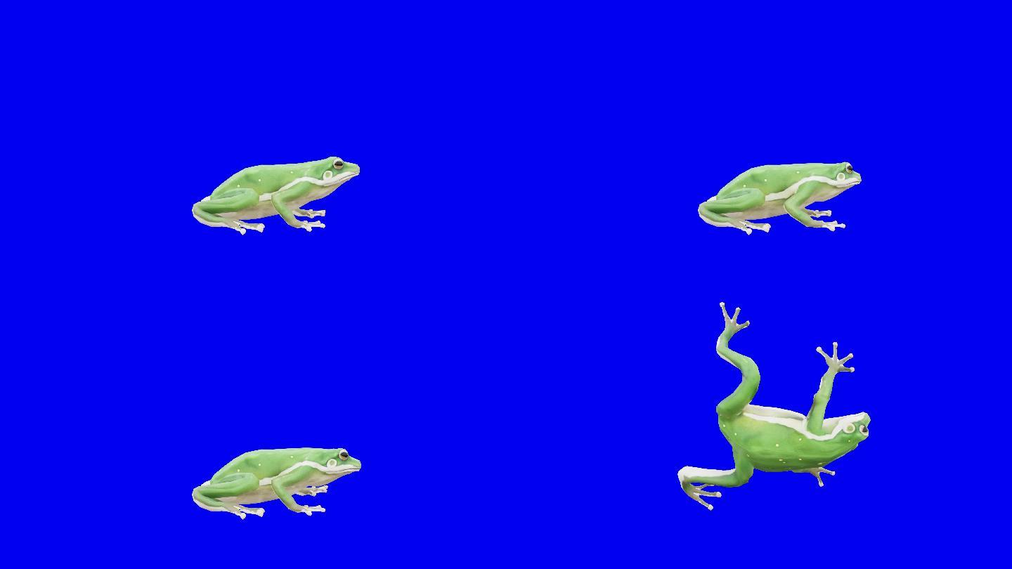 垂死的绿青蛙