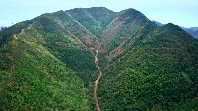 大山森林防火带