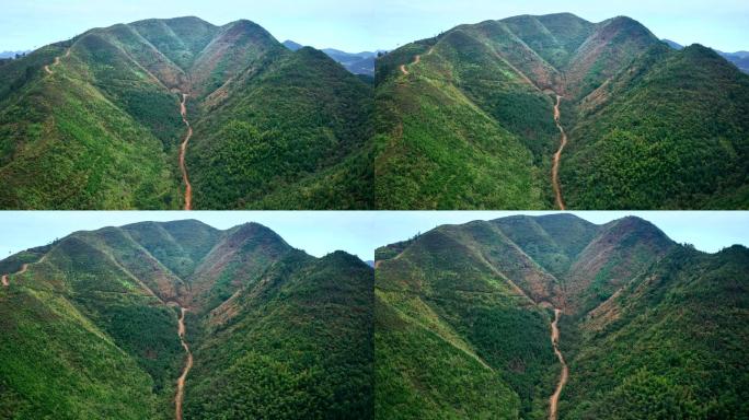 大山森林防火带