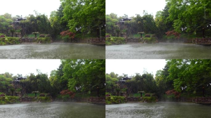 雨天小雨里的园林庭院建筑水池雨景