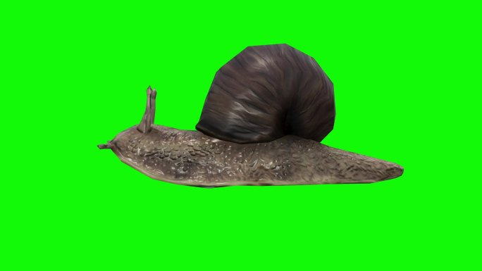 绿屏上奄奄一息的蜗牛